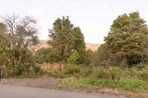 View of undeveloped land featuring a mountainous background