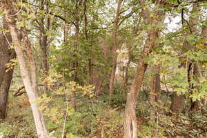 View of undeveloped land