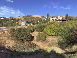 View from Street
