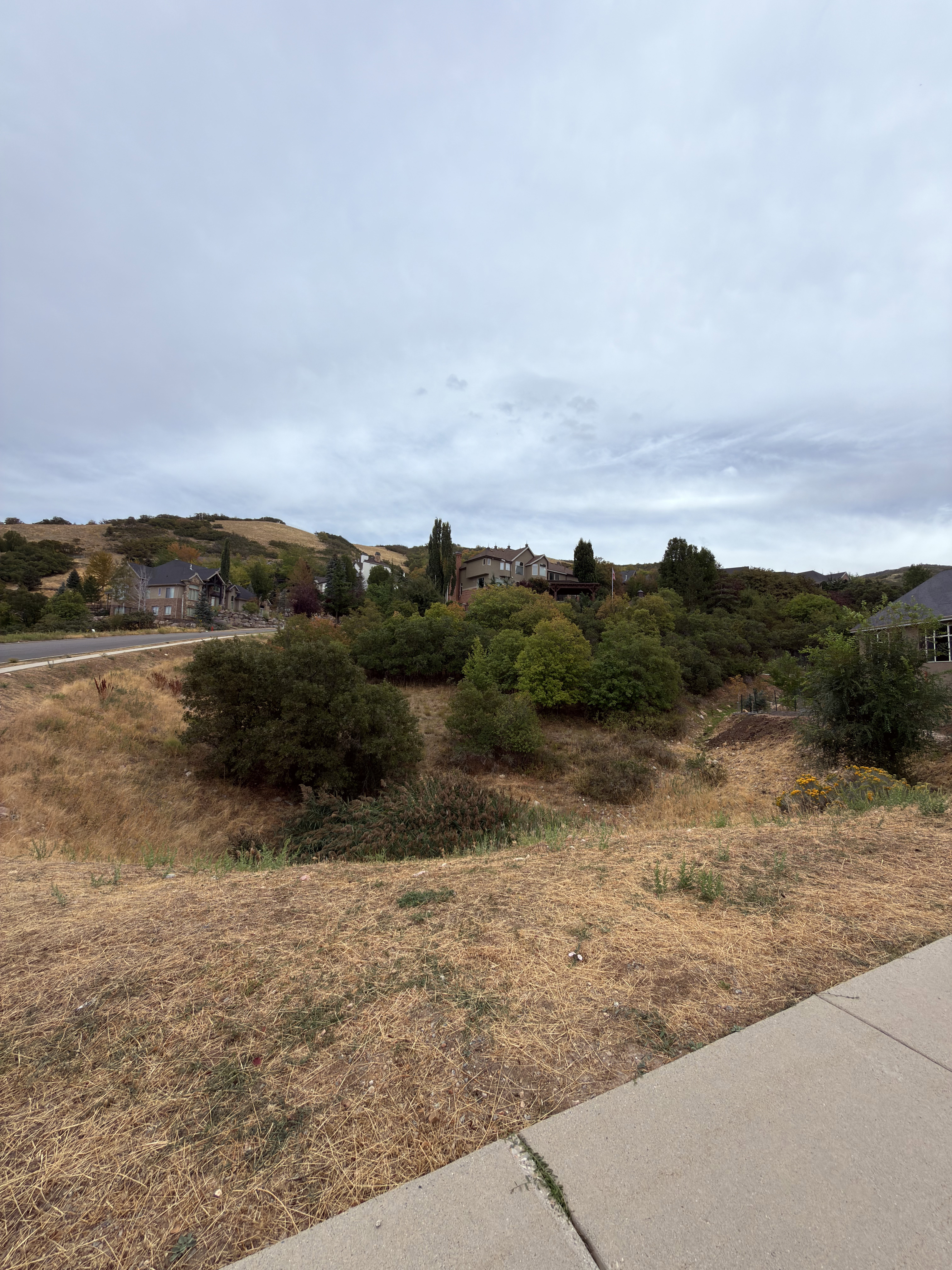 View of property from street
