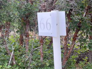 Lot Marker on South East of the lot