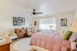 Bedroom with ceiling fan