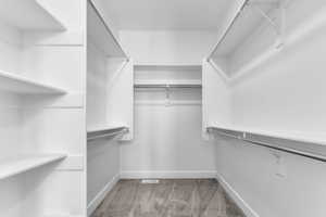 Spacious closet with light carpet