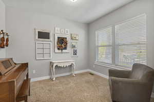 Sitting room with light carpet and a textured ceiling