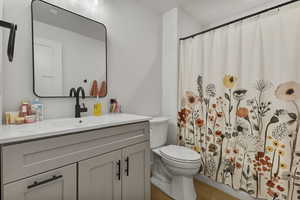 Bathroom featuring vanity, wood finished floors, and curtained shower
