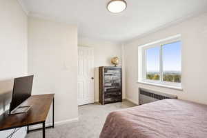 Bedroom with light colored carpet, radiator heating unit, and crown molding