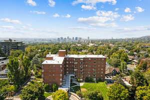 Drone / aerial view of skyline and a tree filled landscape