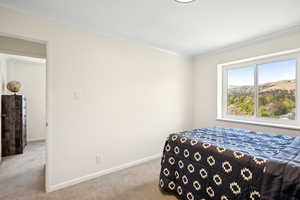 Carpeted bedroom featuring crown molding and a mountain view