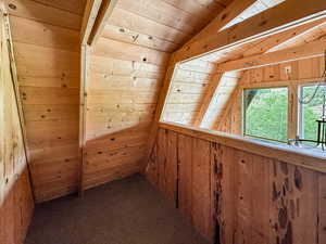 Additional living space with wooden walls, wooden ceiling, and dark carpet