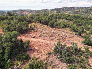 View of mountain background