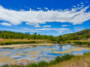 Water view featuring a mountainous background