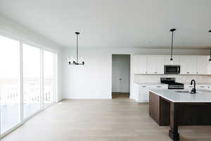 Kitchen with white cabinets, a chandelier, decorative light fixtures, stainless steel appliances, and tasteful backsplash