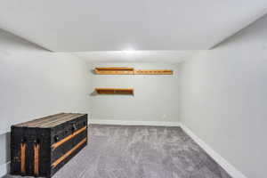 Large storage/bonus room