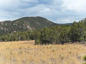 Mountain view featuring rural landscape