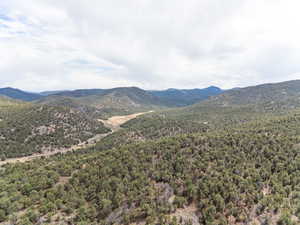 View of mountain backdrop featuring a heavily wooded area