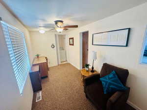 Sitting room with carpet flooring, healthy amount of natural light, washer / clothes dryer, a textured wall, and a ceiling fan