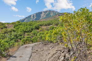 View of mountain background with a heavily wooded area