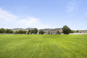 View from the front yard