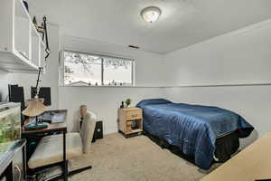 Bedroom 5 - Downstairs