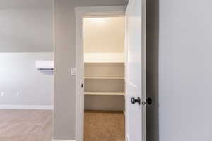 Closet featuring a wall mounted AC