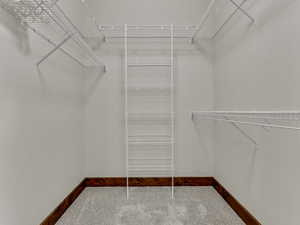 Spacious closet with light carpet