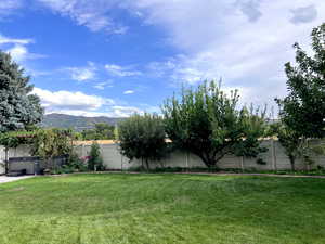 Fenced backyard with a mountain view and a hot tub