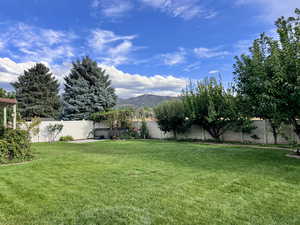 Fenced backyard with a mountain view