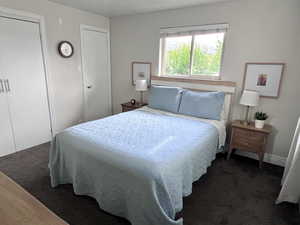 Bedroom with dark carpet