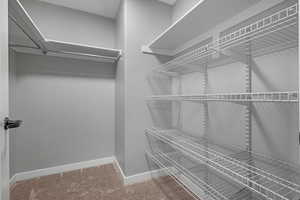 Walk in closet featuring light carpet