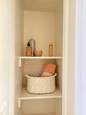 Guest bathroom closet detailed view