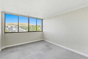 Spare room featuring light colored carpet, a mountain view, ornamental molding, and a textured ceiling