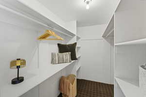 Primary Walk-in closet with dark carpet