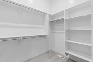 Spacious closet with light carpet