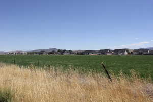 View of local wilderness featuring a mountain backdrop