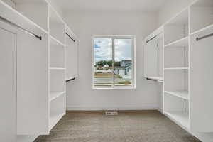Spacious closet featuring light carpet