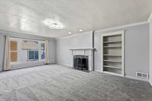 Living room includes curtains, new lighting, and a gas fireplace insert that was installed 5 years ago. Carpet replaced 2025