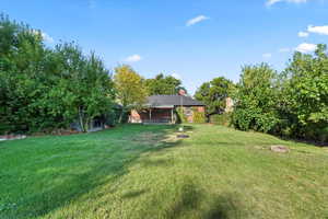 Backyard includes teather ball