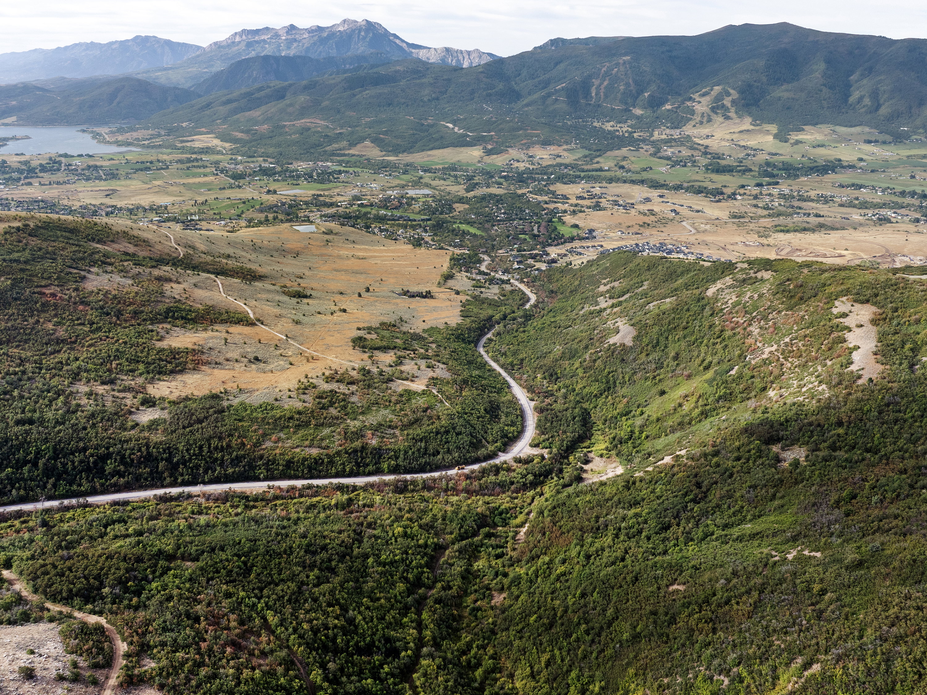 Mountain view featuring a forest