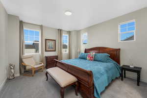Primary Bedroom featuring multiple windows and carpet floors