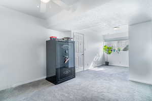 Interior space featuring carpet floors and a textured ceiling