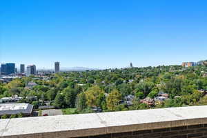 City view with a tree filled landscape