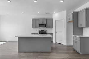 Kitchen with gray cabinets, a kitchen island with sink, stainless steel appliances, dark wood-type flooring, and recessed lighting
