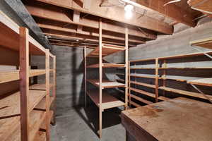 View of unfinished basement