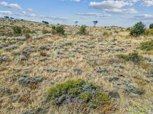 View of local wilderness with rural landscape