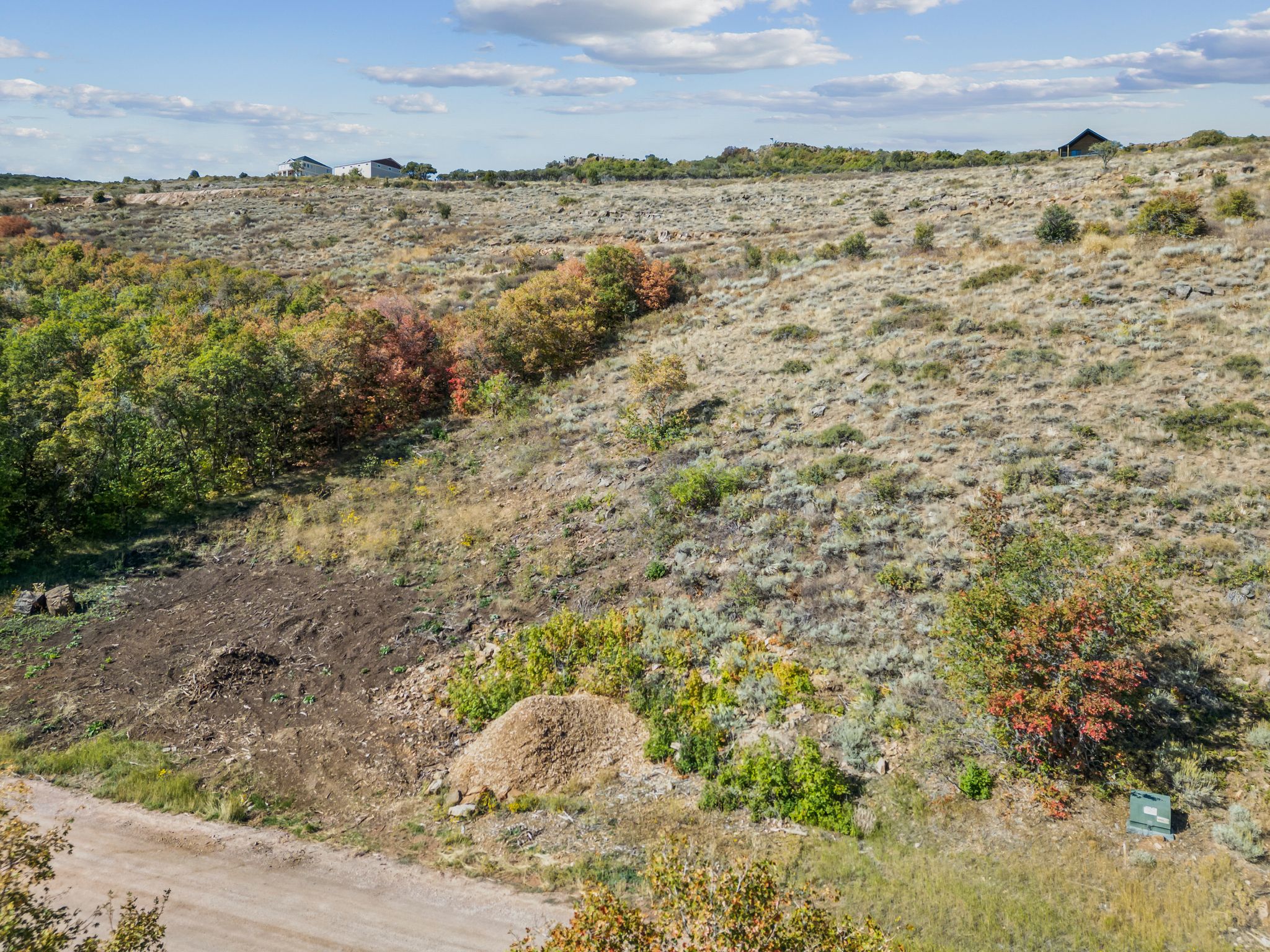 View of local wilderness featuring rural landscape