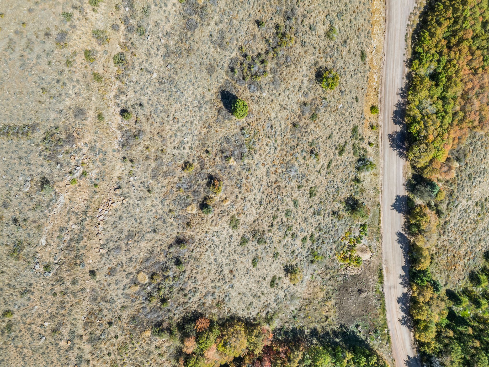 View of property location with rural landscape