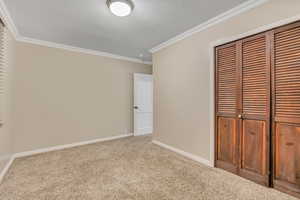 Unfurnished bedroom featuring ornamental molding, a closet, carpet floors, and a textured ceiling