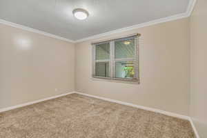 Carpeted empty room featuring a textured ceiling and crown molding