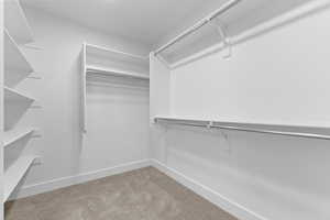 Spacious closet with light carpet