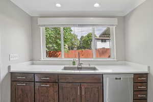 Kitchen featuring stainless steel dishwasher, dark brown cabinetry, crown molding, and light countertops